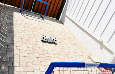 Lion of the Beach - Photo 18