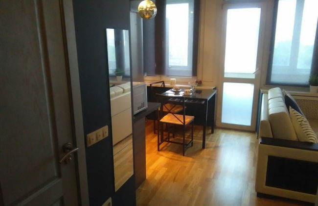 Lakshmi Dinamo Studio View - Foto 4