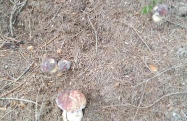 Attico da Jenny - Foto 18