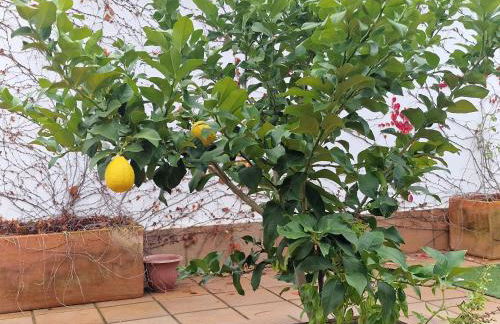 La casa del patio ATBA00260 - Foto 20