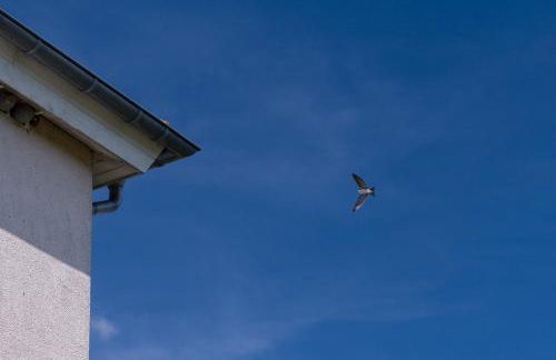 Ferienwohnung Schwalbennest - Foto 47