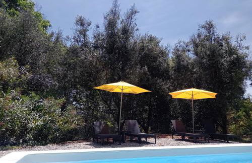 Appartement RDC Le Brin de soleil, Gite l Echapée Belle - Foto 4