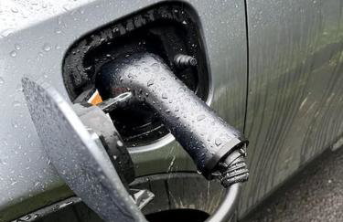 The Burrow Devon - Foto 31