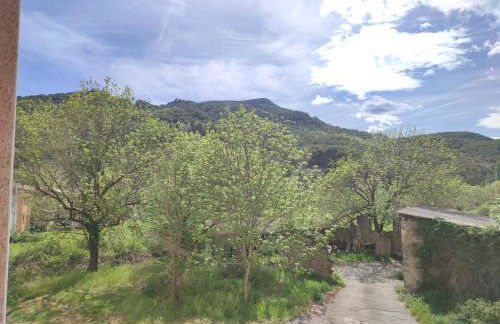 Apartamentos Casa Modesto - Foto 65