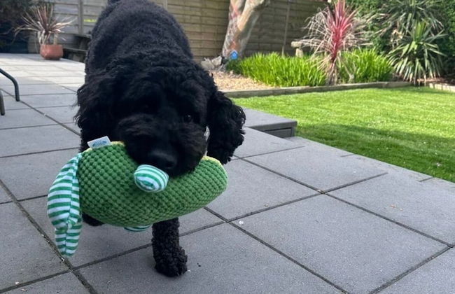 3 Bed House - Sleeps 5 - Pets - Garden - Parking - Photo 20