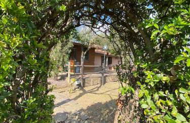 Country house in Maremma Villa Mafalda - Foto 11