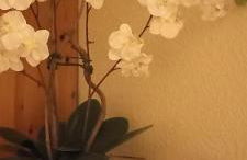 Apartment mit Herz - Photo 6