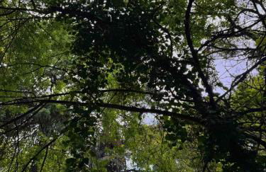 Quinta São José - Museu do Triciclo - Photo 44