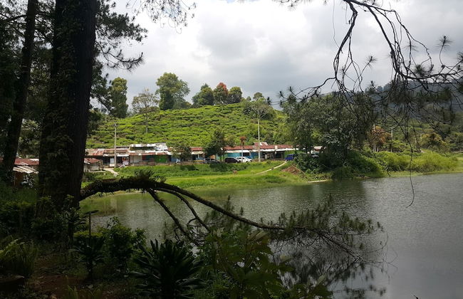 Ciwidey Jungle Villa - Foto 58