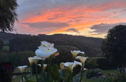 Casa Camiño do Eume - Foto 4