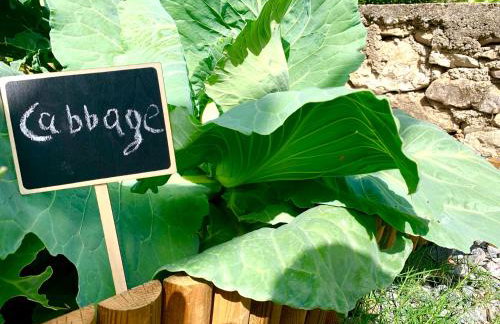 The Backyard - Foto 20