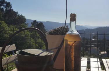 Chalet Pôr do Sol - Photo 15