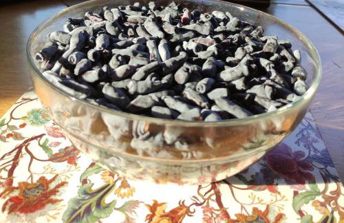 Jeziorosfera. Stodoła przy wodzie. - Foto 40