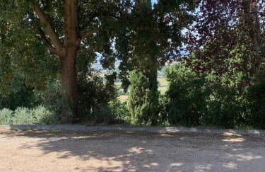 Borgo Eva - Photo 19