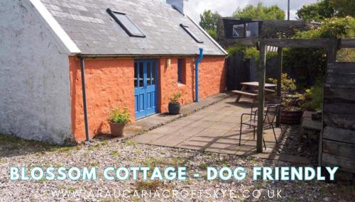 Araucaria Croft Skye - Photo 2