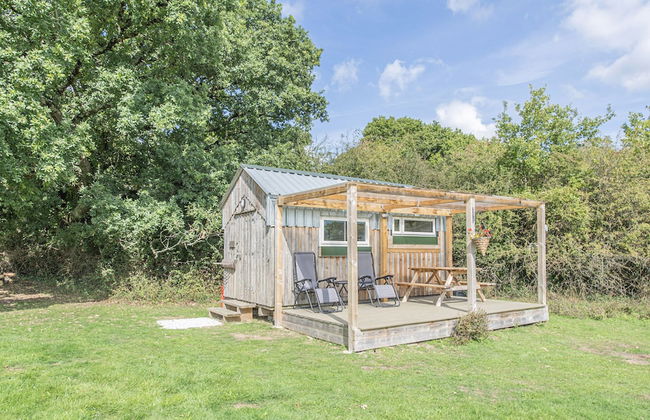 Dartmoor Reach Alpaca Farm - Foto 47