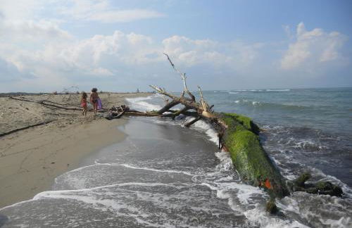 Calci - dal monte al mare - Foto 11