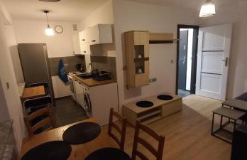 Apartament JUKI 2, obok Katowice Wynajem na doby, krótkoterminowy, 2 pokoje, możliwość dodatkowych dwóch osób na rogówce w salonie za dodatkową opłatą, 37m2,- po kapitalnym remoncie, Wifi - Foto 12