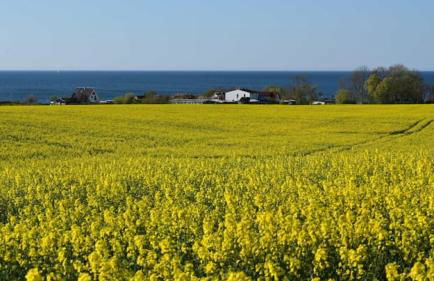 Möve Aba Bungalow 67 - Foto 29