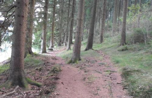 Apartment in Wildemann Near Hahnenklee Ski Area - Foto 19