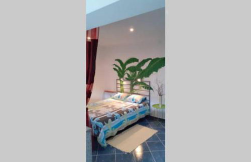 studio veerle - Foto 21