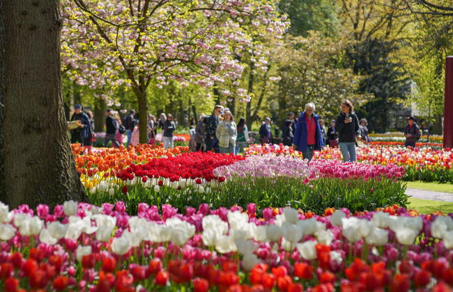 Entradas para Keukenhof - Photo 3