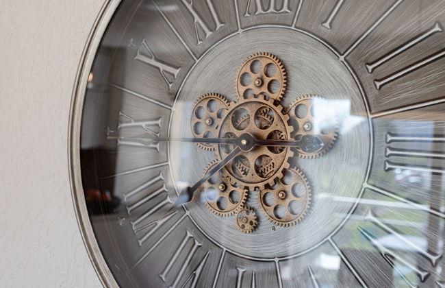 Domaine des roches - Foto 9