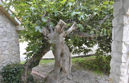 The House Aunt Regina - Foto 48