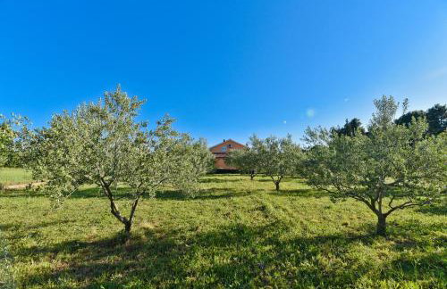 Holiday Home Taraš - Photo 21