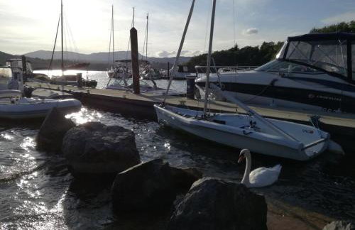 Owls House - Lodge with hot tub- Lake District - Photo 18