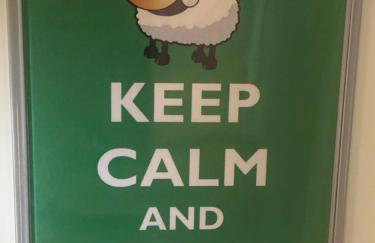 Cosy Shepherds Hut, heating, Hot Tub, WiFi and magnificent view - Foto 45