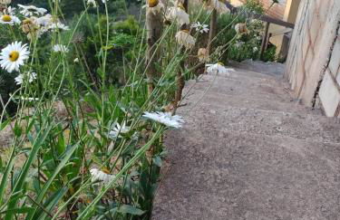 Casa da Rampa - Photo 25