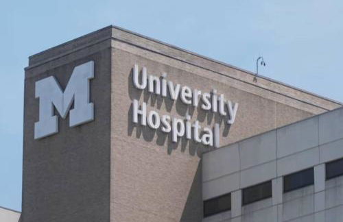 Ann Arbor Downtown Access - Walk to Stadium, Major Hospitals & Restaurants - Photo 48