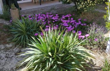 Appartement spacieux Verdon Sur Mer - Foto 2