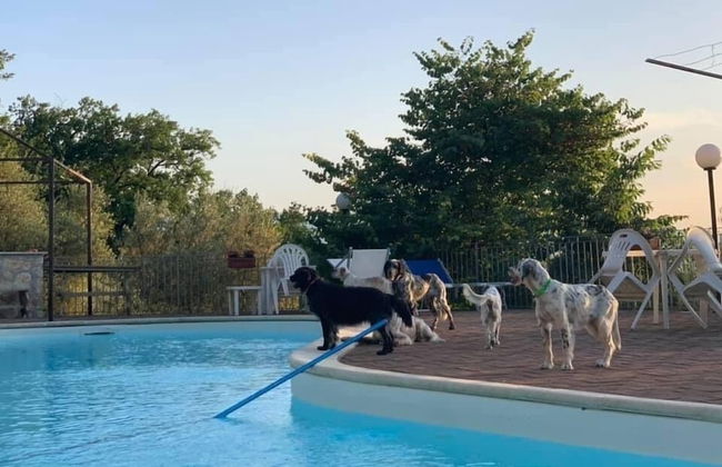 Setter House Agri Hotel - Foto 41