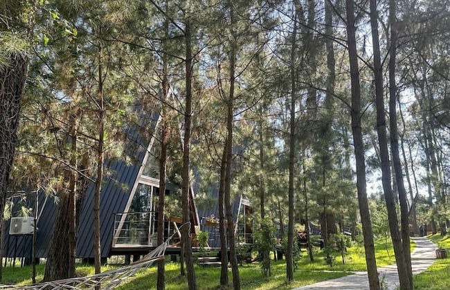 Seaside Chalet Guruli Kokhebi - Photo 34