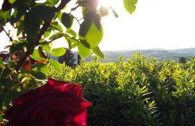 Sunset Hill - Tuscany - Villa & private Pool - Foto 29