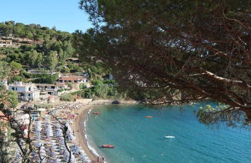 Apartment Turistica-2 by Interhome - Foto 21