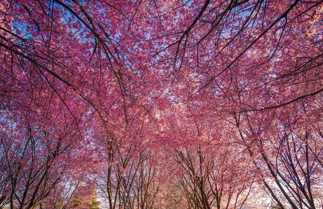 Tour privado por Washington - Foto 7