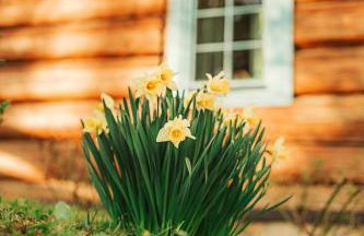 Domek Stu Wiosen - Beskid Niski - Foto 39