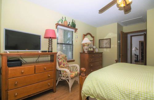 Green Parrot - Foto 22