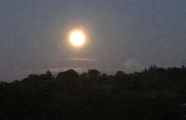 Shepherds Hut-1 Bed-hot Tub -views - Foto 14