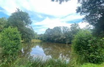 Chalet autonome avec étang pleine nature - Foto 19