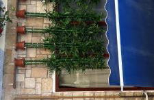 Suites 5* Lahcene - Foto 48