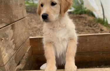 casa rural larre aundi - Foto 55