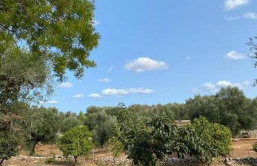Casedda Mia a charming cottage with cozy private pool - Foto 26