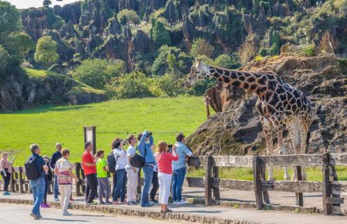 Casuca Queveda - Foto 37