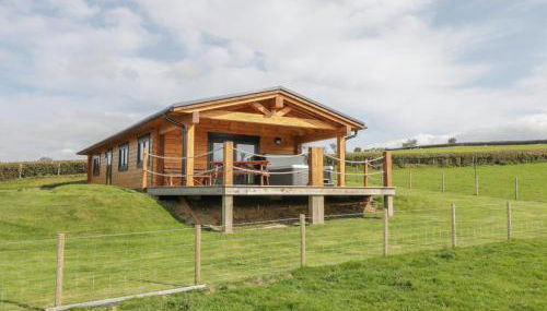 Bryn Eiddon Log Cabin - Photo 5