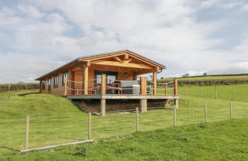 Bryn Eiddon Log Cabin - Photo 5