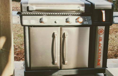 BikeslParkPasslPizzaOvenlSnoConelYouTubeTVlEV - Foto 47